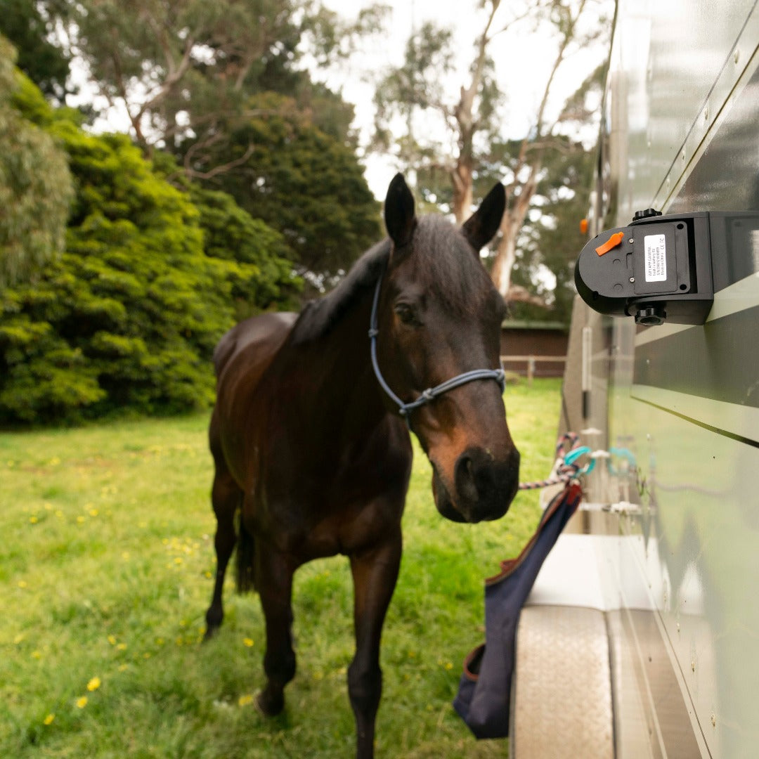 HorsyGuard Horse Trailer Camera
